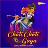 About Choti Choti Gaya Song